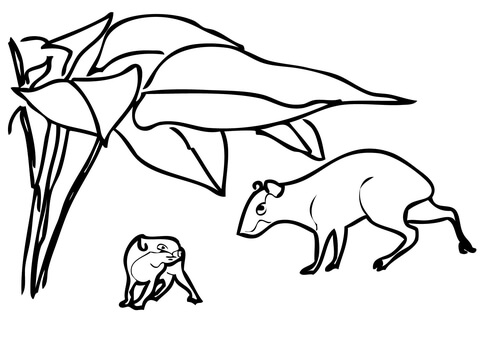 Two Agoutis Coloring Page